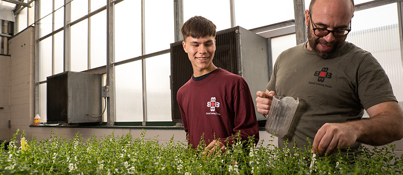 A Bidwell Training Center student works on some plants in the greenhouse 