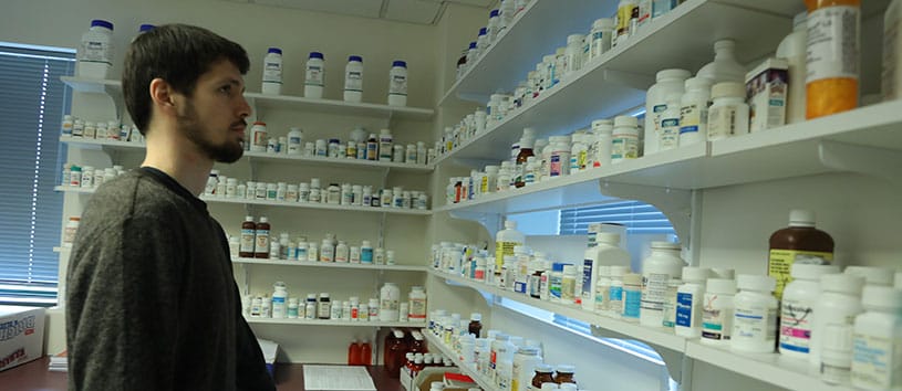 A man looks at a variety of prescription drugs displayed on wall shelves.