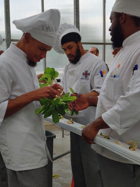 Bidwell's Culinary Arts students looking at green plants and herbs.