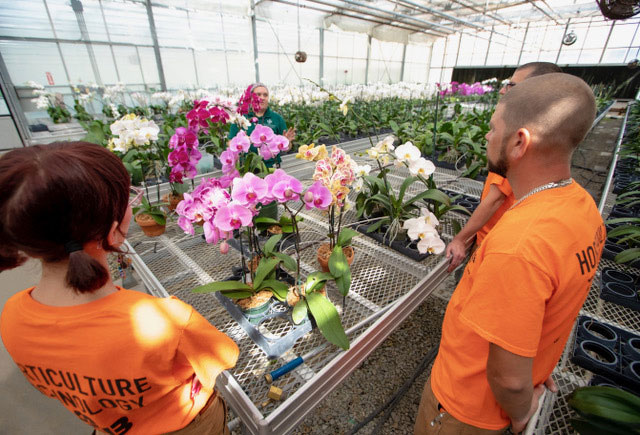 Horticulture Technology students standing next to orchid flowers.